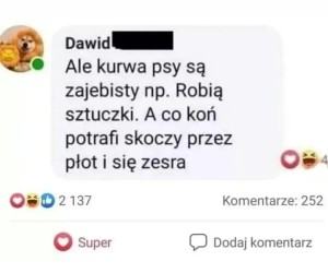 Antykońska propaganda