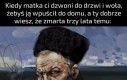 Zasrane kryptydy