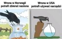Wrony na Podlasiu