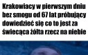 Kryć się