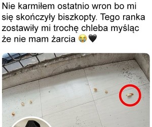 Przykre