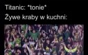 Najlepszy dzień ever