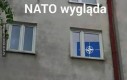 NATO Wygląda