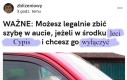 Który mamy dzień tygodnia?