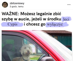 Który mamy dzień tygodnia?