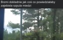 Nie ze mną te numery