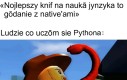 Groźne programowanie
