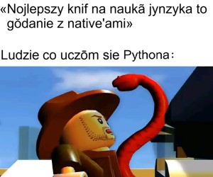 Groźne programowanie