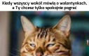 Ktoś jeszcze tak ma?