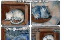 Historia małego kotka