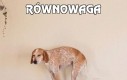 Równowaga