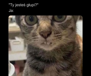 No może trochę