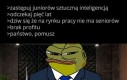 Ten plan jednak miał wady