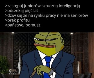 Ten plan jednak miał wady