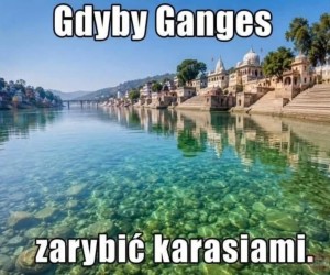 Nigdy na to nie wpadną