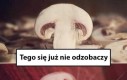 Natura jest niesamowita