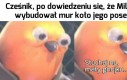 Będzie z tego afera