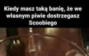 Strasznie wczoraj zachlałem