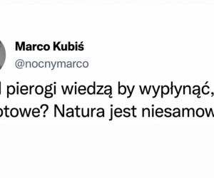 Świat nigdy nie przestanie mnie zaskakiwać