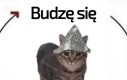 Tak jest niestety
