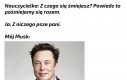 Elon Mózg