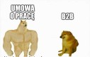 Raczej poluj na umowę o pracę