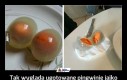 Tak wygląda ugotowane pingwinie jajko