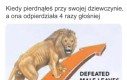 Wszedł na ring i dostał w ryj