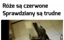 Zdolny psiak