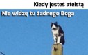 Uwierzę, jak zobaczę