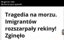 Niemiłe spotkanie na wodzie