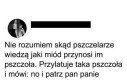 To wymaga wyższych studiów pszczelarskich