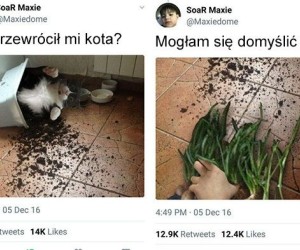Mamy winowajcę