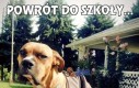 Powrót do szkoły...