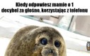 Szlaban na telefon, kąkuter i konsolę