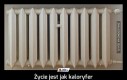 Życie jest jak kaloryfer