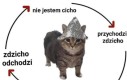 Ćho bo pżyidzje zdzjho