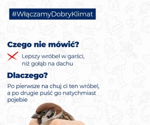 Uwolnić wróbla