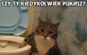 Czy ty kiedykolwiek pukasz?