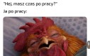 Niestety, zawalony jestem