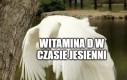 Pamiętajcie Jejanie o poprawnej diecie i suplementacji na ten czas