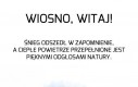 Wiosna taka piękna!