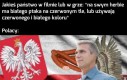 Duma mnie rozpiera