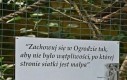 Paradoksalnie poprzeczka wcale nie jest aż tak wysoka