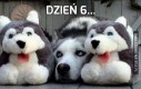 Dzień 6...