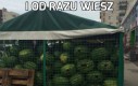 I od razu wiesz