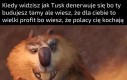 Z czegoś trzeba żyć