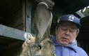 Wielki królik