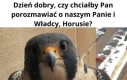 Ależ oczywiście