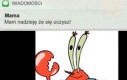 Zaraz